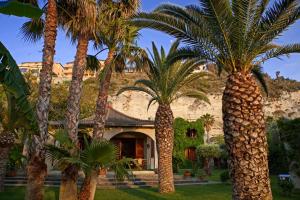 un groupe de palmiers devant une maison dans l'établissement Villa Giada, à Tropea