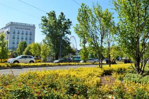 布达佩斯布达佩斯中心脉动生命公寓的城市街道,有汽车停在公园里