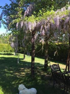 A garden outside Alojamiento en entorno rural Los Trobos