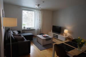 a living room with a couch and a tv at Ounasvaara Arctic Suite in Rovaniemi