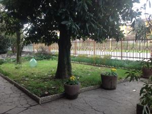 Zahrada ubytování B&B Family Home