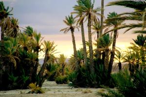Fotografie z fotogalerie ubytování Skoura Lodge v destinaci Skoura