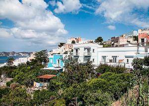 a group of buildings on a hill next to the ocean at Salvatore 6 in Ponza