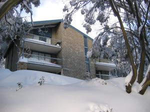 a snow covered yard in front of a building at Brucktal Apartment in Falls Creek