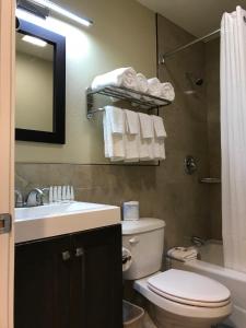 a bathroom with a toilet and a sink and a mirror at Berkshire Motor Hotel in San Diego