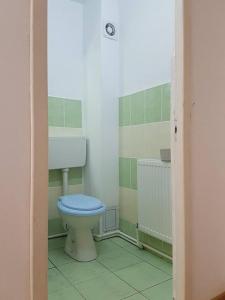 a bathroom with a blue toilet and a sink at Casa Rustica Apart & Rooms in Cîmpineanca