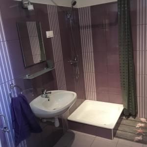 a bathroom with a sink and a shower at Liliom Vendégház in Bakonybél +33 photos