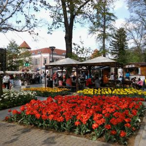 Fotografie z fotogalerie ubytování SANTE Hévíz v destinaci Hévíz