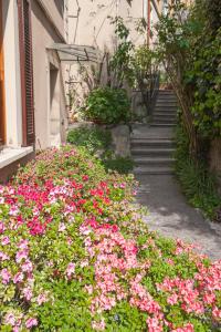 un jardín de flores rosas frente a un edificio en Casa Margherita, en Como