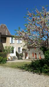 una gran casa blanca con un árbol delante en Le Petit Carpia, en Castillon-de-Castets