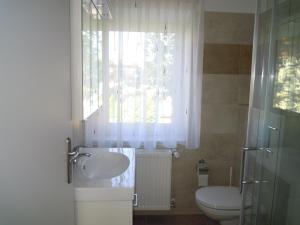 baño con lavabo y aseo y ventana en Ferienwohnungen Familie Jarnig Inge en Görtschach