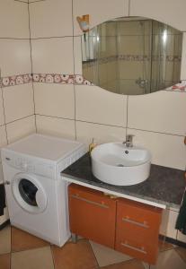 ein Badezimmer mit einer Waschmaschine und einem Waschbecken in der Unterkunft Adega Mourato in Bandeiras