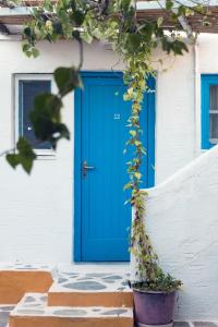 Gallery image of Miltiadis Apartments in Ambelas +67 photos