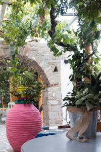 Miltiadis Apartments في أمبيلاس: وجود مزهرية وردية على طاولة مع نباتات الفخار