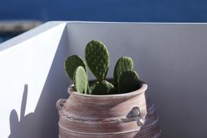 Foto da galeria de La Maison Blanche em Agios Stefanos