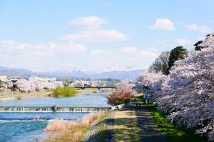 a river with flowering trees and mountains in the background at K's House Kanazawa - Travelers Hostel in Kanazawa