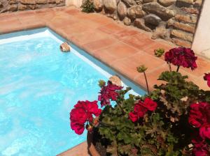 a swimming pool with red flowers in a pot at Apartamentos Carmen de Ramilla in Granada