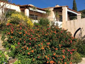 Сад в Villa du Bau Rouge