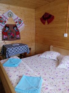 Postel nebo postele na pokoji v ubytování Cabana Ghetari