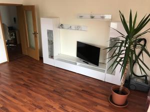 a living room with a tv and a potted plant at Haus Johanna in Lechbruck