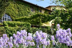 A garden outside Locanda Casanuova
