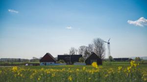 ein Bauernhof mit einer Windmühle und einem Blumenfeld in der Unterkunft Mattisgården Bed & Breakfast in Östra Ljungby