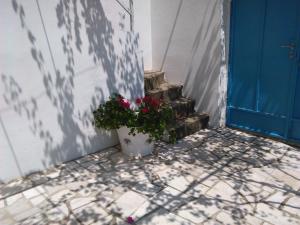 Fotografie z fotogalerie ubytování Apartment Luna v Dubrovníku