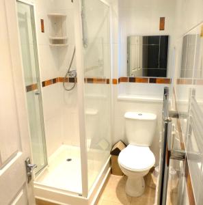 a white bathroom with a shower and a toilet at Harrington Guest House in Newquay
