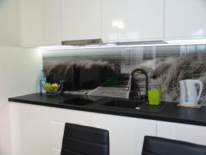 Kuchyň nebo kuchyňský kout v ubytování Apartament Białe Piaski