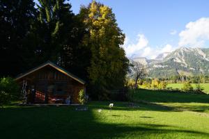 una pequeña cabaña en un campo con montañas en el fondo en Haus Waltraut, en Ramsau am Dachstein