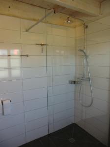 a shower with a glass door in a bathroom at Ferienwohnung "im Winkelhof" in Roetgen