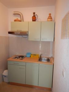 Кухня або міні-кухня у Apartments Kapetan Jure