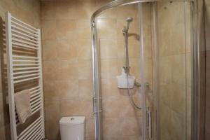 a bathroom with a shower with a toilet at Cathedral Apartment in Lviv +8 photos
