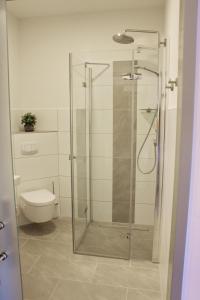 a glass shower in a bathroom with a toilet at Stichwehs Hotel am Bahnhof in Elze