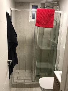 マドリードにあるTeruel 4のバスルーム(シャワー、赤いタオル付)