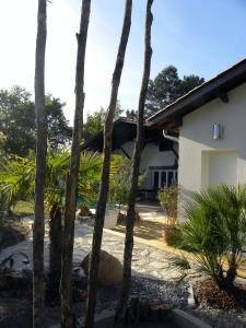 uma casa com palmeiras em frente em Villa Mogador Piscine et Balnéo em Andernos-les-Bains