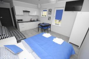 Kuchyňa alebo kuchynka v ubytovaní Mazuria Apartamenty