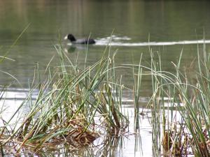 Vaade apartemendi lähedal voolavale jõele