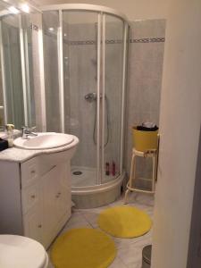 a bathroom with a shower and a toilet and a sink at Residence les Goelands in Ouistreham