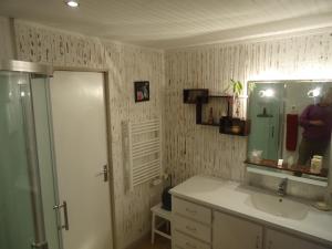Vouneuil-sur-VienneにあるLe refuge du Pinailのバスルーム(洗面台、鏡の中の人物付)