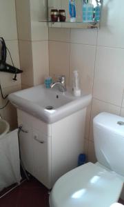 ein Badezimmer mit einem weißen Waschbecken und einem WC in der Unterkunft Uroczysko Ostoja in Kopisk