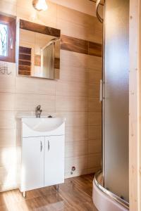 a bathroom with a sink and a shower at Ośrodek Wczasowy Maliwa in Jarosławiec