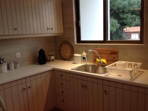 Kuchyň nebo kuchyňský kout v ubytování Apartments Aliki