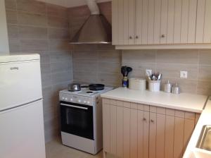 Kuchyň nebo kuchyňský kout v ubytování Apartments Aliki