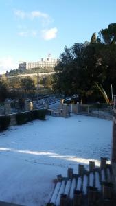 Assisi Garden v zimě