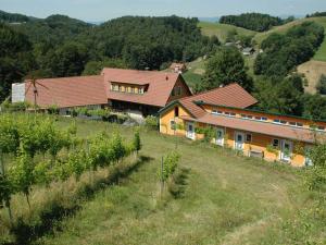 een luchtzicht op een huis in een wijngaard bij Weingut Schatz in Heimschuh