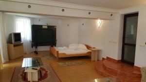 a living room with a bed and a tv at Vila Alunis in Buşteni