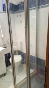 łazienka z toaletą i prysznicem w obiekcie Apartment Deni w mieście Lumbarda