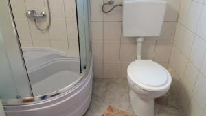 a bathroom with a toilet and a shower at Apartments Dada in Vir