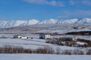 Foto sihtkohas Dalvík asuva majutusasutuse Húsabakki Guesthouse galeriist
